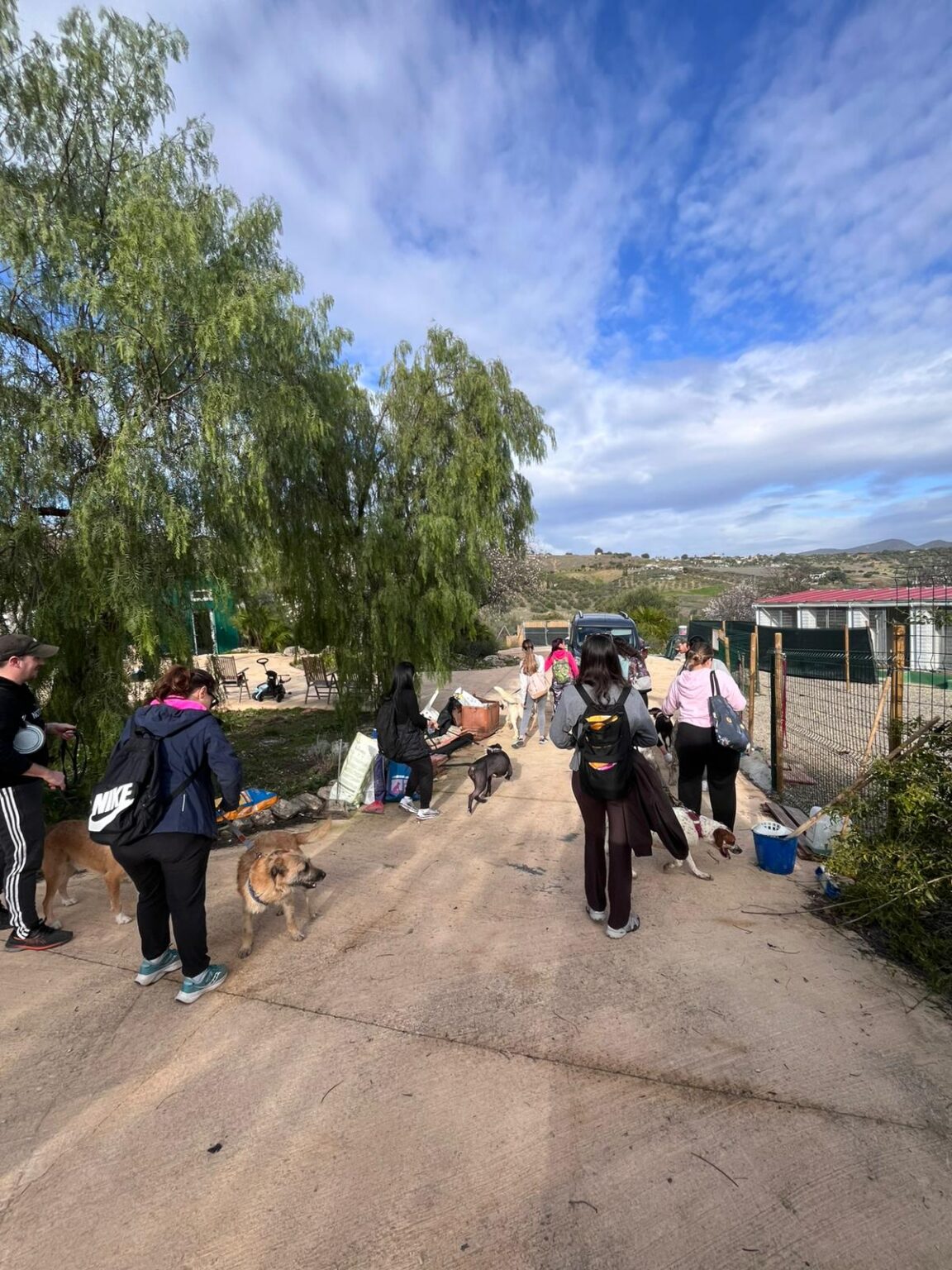 Residencia Canina Hachiko colaboración activa en adopción responsable con La Manada de Lola
