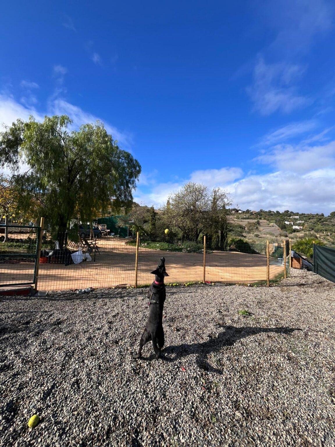 Visitas previas a la finca y presupuesto sin compromiso en Residencia Canina Hachiko Alhaurín